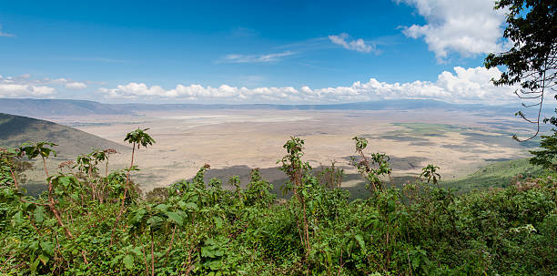 Panorama of Ngorongoro Crater Tanyania stock photo