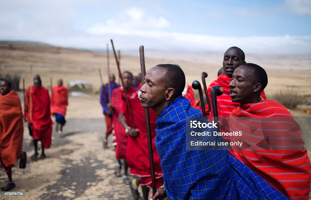 Masai dance, Ngorongoro crater, Tanzania Masai village in Ngorongoro Conservation Area, Tanzania - August 2, 2014: Masai dancing to welcome visitors to the village. Ngorongoro conservation area is a great area where Masai can live folllowing thier way of life. In this area Masai can walk across the park freely. This tribal dance is very suggestive , accompanied by the dull sound of a long wind instrument and chant made ​​of hisses and pops. 2015 Stock Photo