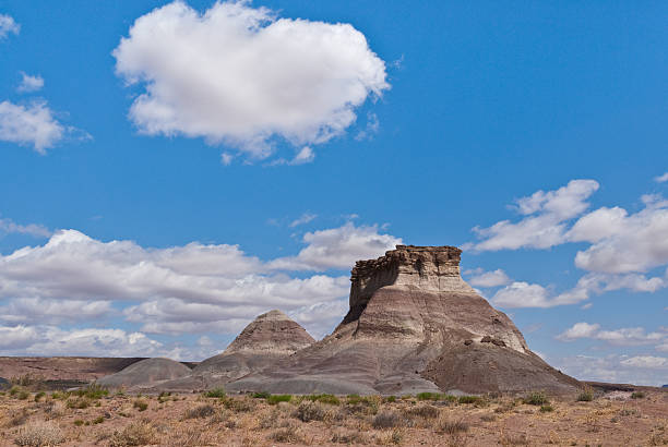istock Arizona Desert and Mesa 472077401