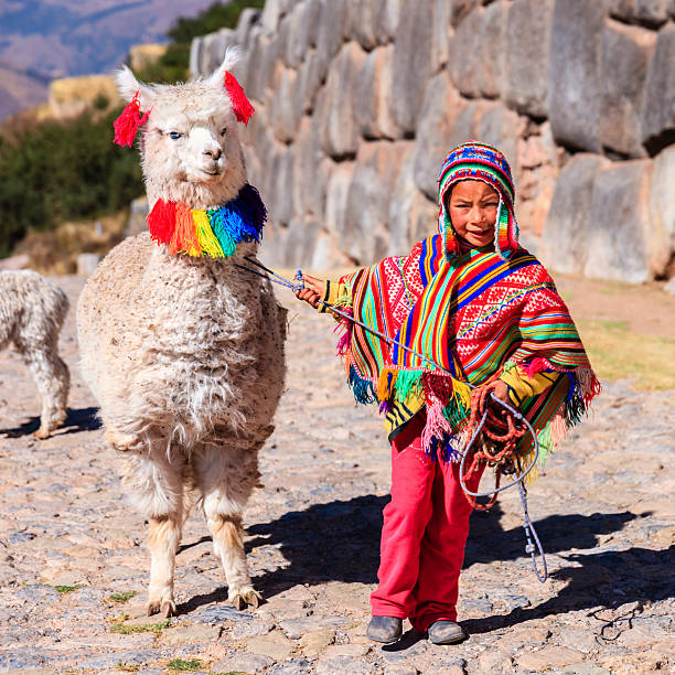 little boy wearing nacional peruano ropa con llama cerca de cuzco - trajes tipicos del peru fotografías e imágenes de stock