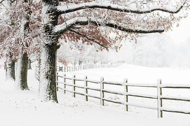 Winterwonderland of snow covered fields and wooden fence.