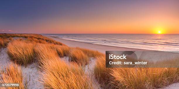 Dunes And Beach At Sunset On Texel Island The Netherlands Stock Photo - Download Image Now