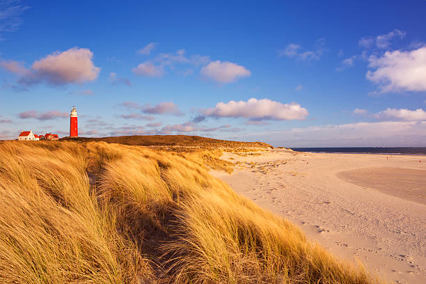 Lighthouse on Texel island in The Netherlands in morning light The lighthouse of the island of Texel in The Netherlands surrounded by tall sand dunes in beautiful early morning sunlight. friesland netherlands stock pictures, royalty-free photos & images