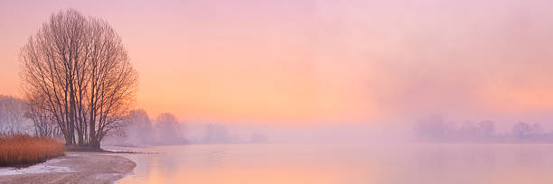 Foggy sunrise along a river, River Lek, The Netherlands A beautiful foggy sunrise along a river. Photographed along the River Lek in The Netherlands. A seamlessly stitched panoramic image. lek river in the netherlands stock pictures, royalty-free photos & images