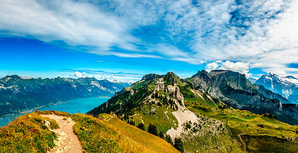 góry powyżej interlaken i brienze jeziora-iii - interlaken mountain meadow switzerland zdjęcia i obrazy z banku zdjęć