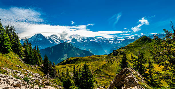 Bernese Alps panorama from Schynige Platte - V Mountains in Bernese Alps, Switzerland. From the left to the right side: The Eiger 3 ,970 m (13,020 ft), The Mönch (German: "monk") 4,107 m (13,474 ft), The Jungfrau (German: "maiden/virgin") 4,158 m (13,642 ft), Grosshorn 3,754 m (12,317 ft) and Breithorn 3,782 m (12,409 ft). grindelwald photos stock pictures, royalty-free photos & images
