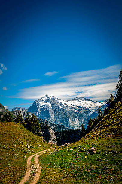 The Wetterhorn (3,692 m) mountain from Schynige Platte.