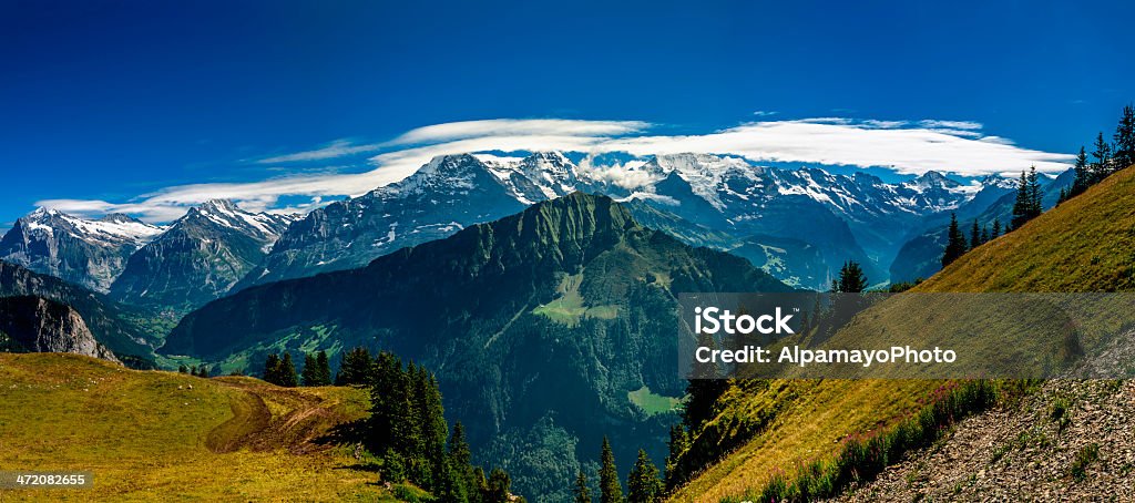 Bernese Alpi panorama da Schynige Platte-VI - Foto stock royalty-free di Prateria - Campo