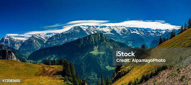 Bernese Alpi Panorama Da Schynige Plattevi - Fotografie stock e altre immagini di Prateria - Campo - Prateria - Campo, Alpi, Alpi Bernesi