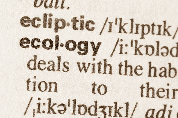 istock Dictionary definition of word ecology 472082672