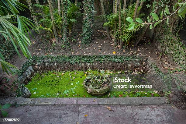 Abandond Pond Stock Photo - Download Image Now - 2015, Abandoned, Artificial