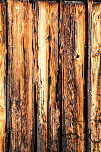 There are straight pieces of unfinished wood  placed standing up next to each other. The timber is in variations of brown, both light and dark. It is a full screen shot taken with a Canon 5D Mark 3 camera. It makes for a good background. The shot is vertical.  rm
