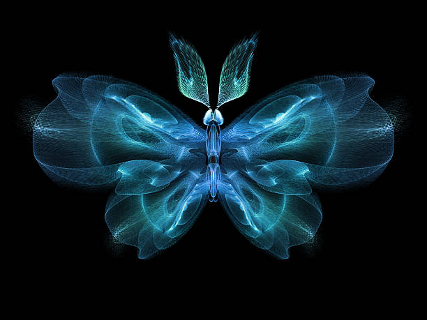 schmetterling eleganz - fractal nature black abstract stock-fotos und bilder