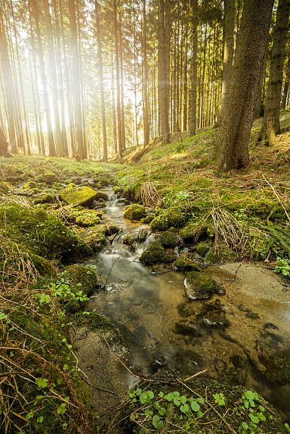 istock Falls on the small mountain river in a forest 472086524