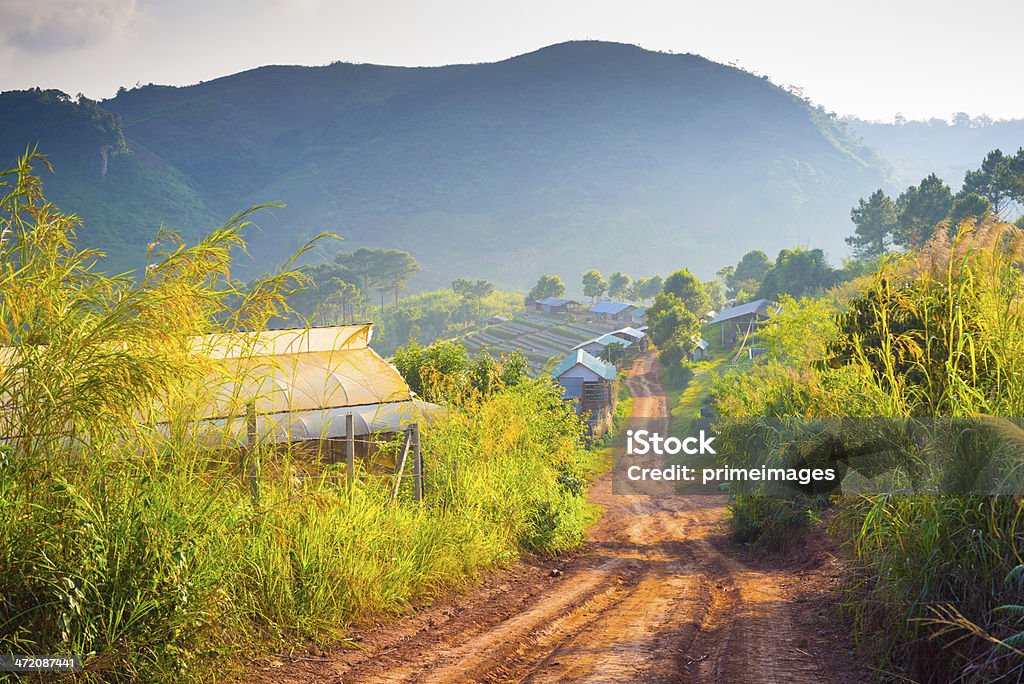 Bela sunshine no misty manhã montanhas. - Foto de stock de Agricultura royalty-free