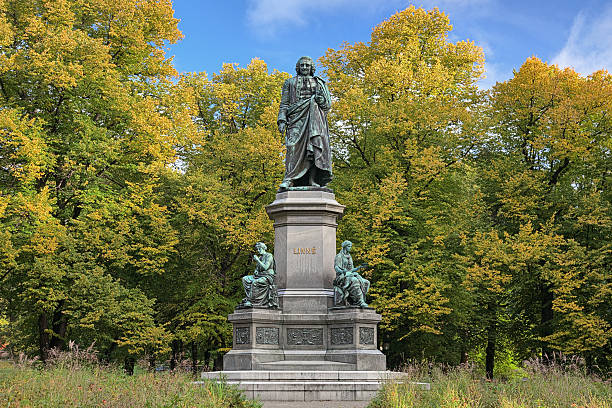 istock Carl Linnaeus Monument in Stockholm, Sweden 472087785