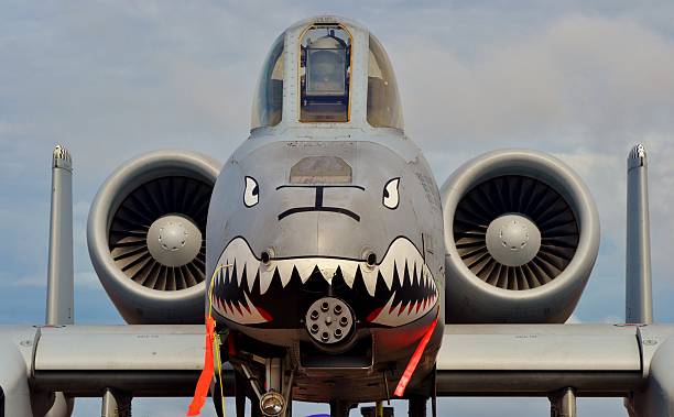 Head-on of A-10 Warthog/Thunderbolt II Panama City, USA - April 11, 2015: Head-on view of an Air Force A-10 Warthog/Thunderbolt II fighter jet parked on the flight line at Tyndall Air Force Base in April 2015. The A-10 is armed with an AGM-65 Maverick missile. a10 warthog stock pictures, royalty-free photos & images