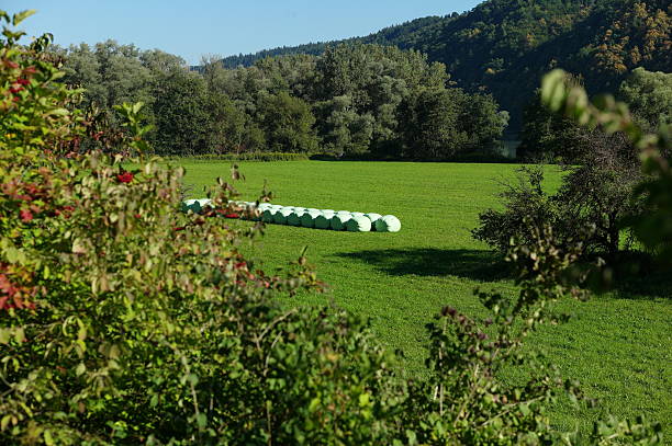 istock hay stacks at field of passau germany 472089119