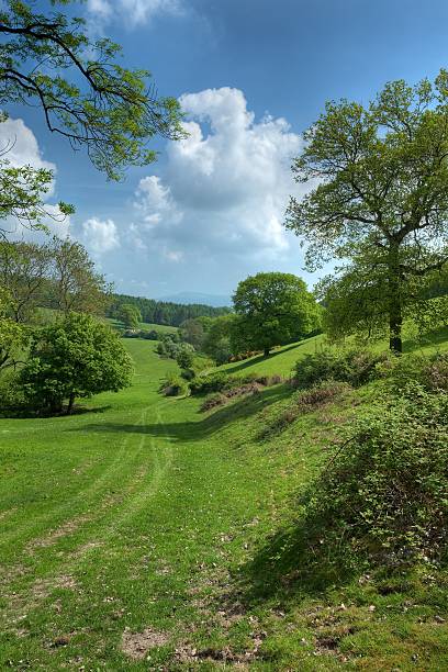 istock The Herefordshire Trail 472089893
