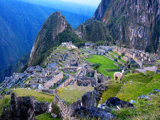 istock Machu Picchu ruins with llama, Cuzco, Peru 472091843