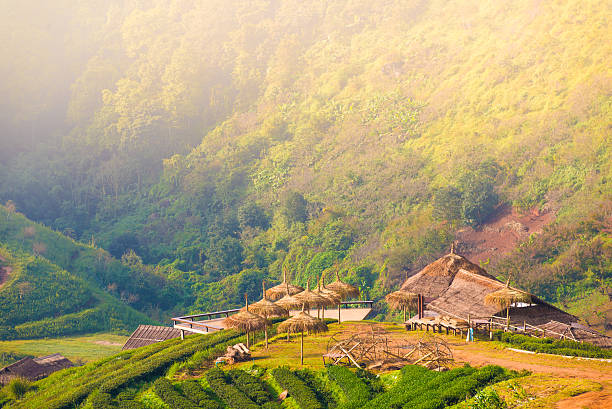 istock Beautiful sunshine at misty morning mountains . 472092423