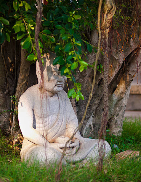 mnich nowicjusz statua w drzewie - ancient civilization people time visual art zdjęcia i obrazy z banku zdjęć