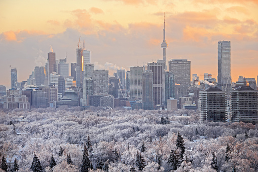 Toronto downtown skyline at sunset with snow and frost in the trees in the foregrund. December 24, 2013