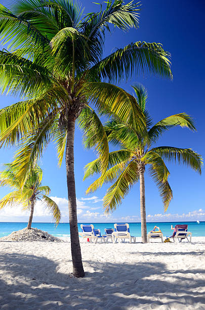 playa tropical - varadero beach fotografías e imágenes de stock