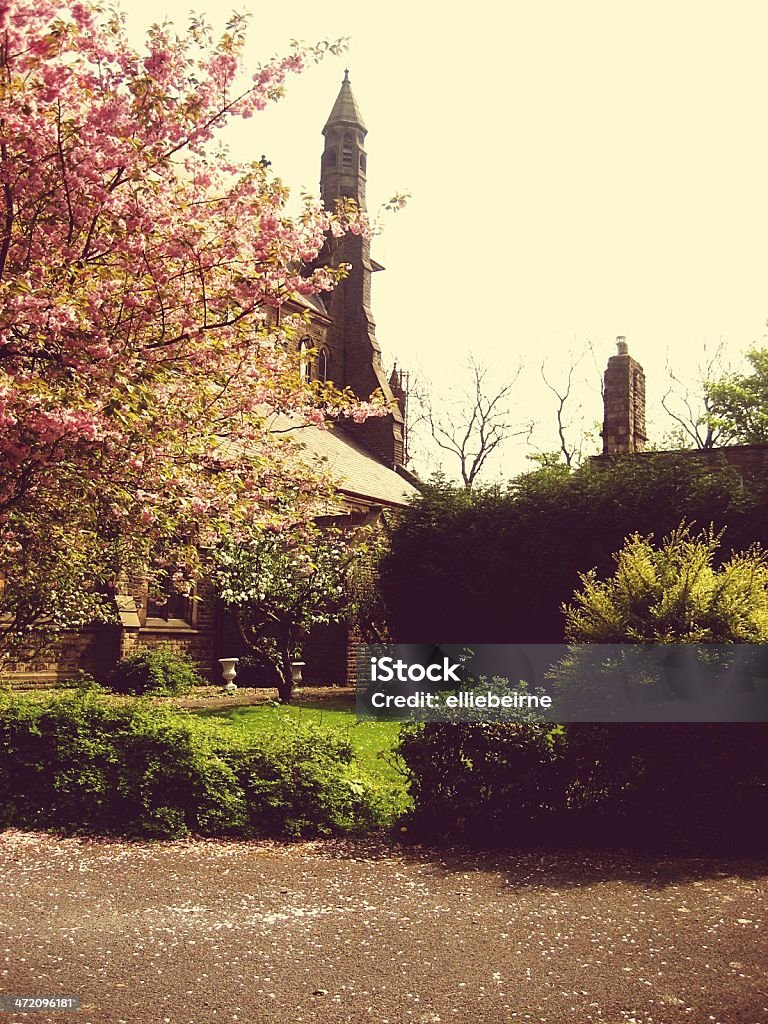 Churchyard in Spring A Glossop churchyard in Spring. Blossom Stock Photo