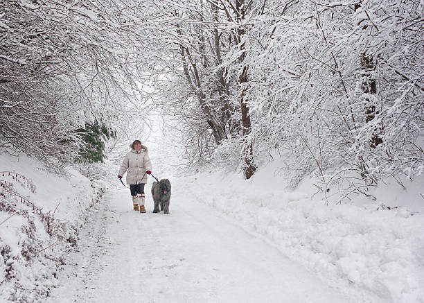 winter wonderland promenade du chien. - mahone bay photos et images de collection