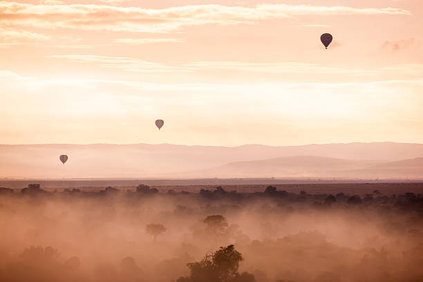 Three hot air balloons at dawn in the Masai Mara.  Misty  morning sunrise over savannah with Acacia Trees in foreground