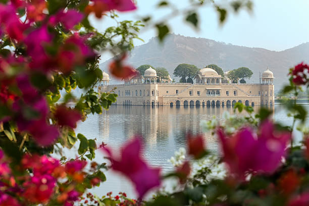 Jal Mahal Palace, with Bougainvilleas Flowers in the Foreground Restored Water Palace in Sagar Lake, Jaipur City, state of Rajasthan, India featuring Rajput and Mughal styles of architecture made of red sandstone. udaipur stock pictures, royalty-free photos & images