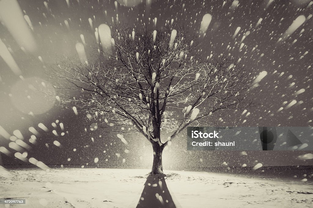 The Fury of Winter Heavy snow falls around a solitary tree on a hilltop.  Long exposure with backlighting.  Toned black and white. Back Lit Stock Photo