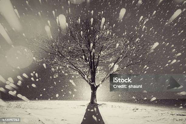 The Fury Of Winter Stock Photo - Download Image Now - Back Lit, Beauty In Nature, Black And White