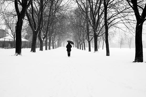 istock Snow Storm in Black and White 472099851