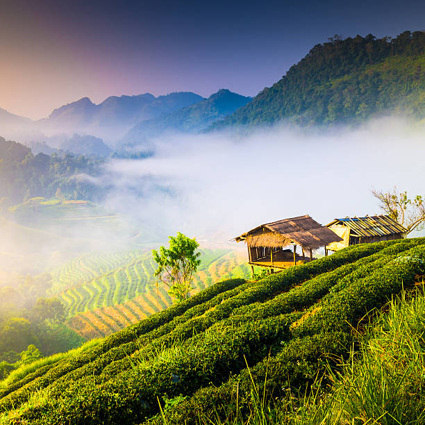 istock Beautiful sunshine at misty morning mountains . 472100473