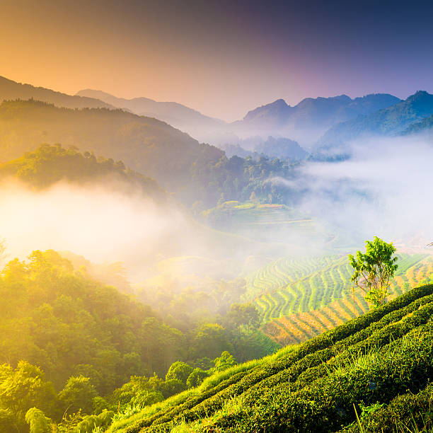 istock Beautiful sunshine at misty morning mountains . 472100487