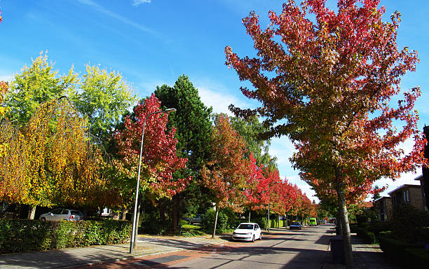 istock Autumn in the city 472101973