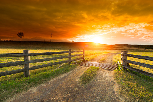 Gravel path onto rural property under golden sunset. 