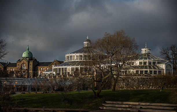 Copenhagen, Denmark - January 4, 2014: Copenhagen University Botanical Garden lies in the heart of Copenhagen. It houses Denmarks largest collection og living plants and the only gene banks for wild plants. Its primary goal is to maintain a rich and living collection of plants for research and education. The garden is open to the public free of charge.