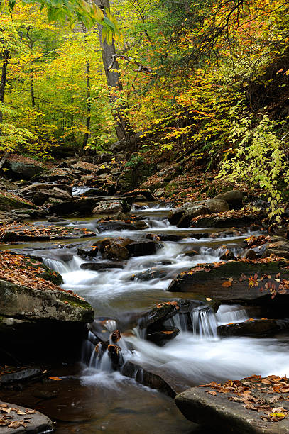 istock Scenic Ricketts Glen State Park in Autumn 472105277