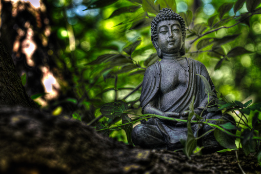 Buddha in Japanese Garden