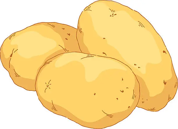 Vector illustration of Potato