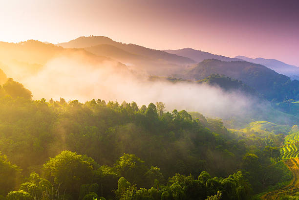 istock Beautiful sunshine at misty morning mountains . 472110623