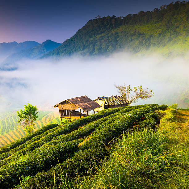 istock Beautiful sunshine at misty morning mountains . 472111223