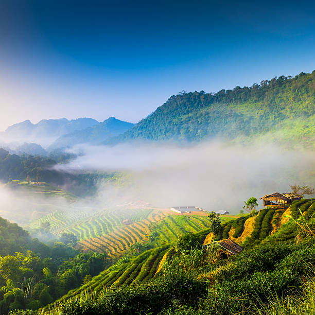 istock Beautiful sunshine at misty morning mountains . 472111227