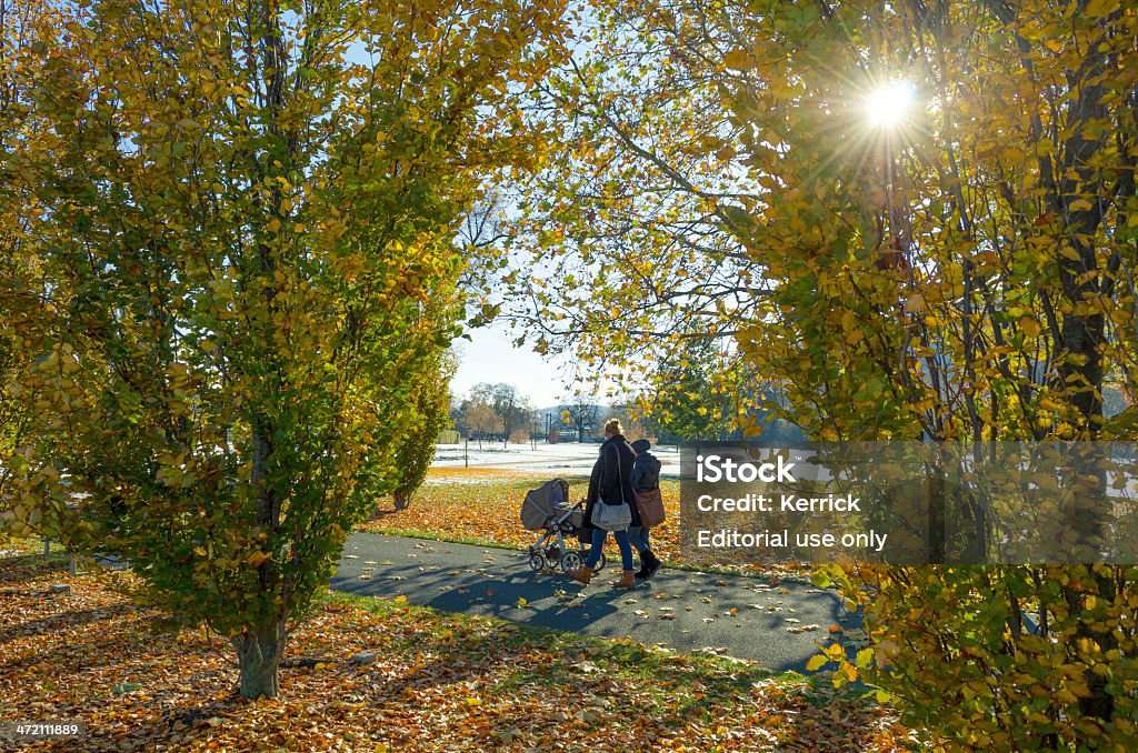 Junge Mutter und Freundin walking im Herbst - Lizenzfrei Alleinerzieherin Stock-Foto