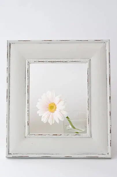 Gerbera in the frame.