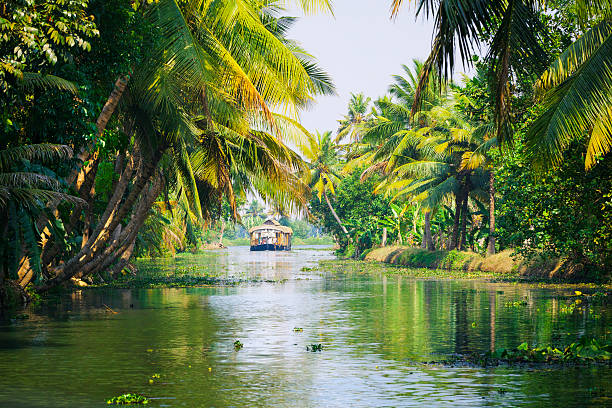 istock Houseboat on the Kerala Backwaters in India 472114428
