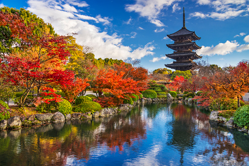 Kyoto, Japan - October 10th, 2023: Beautiful famous Kiyomizu-dera Pagoda and adjacent building under blue autumn sky in Kyoto Japan.